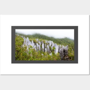 Limestone pinnacles at gunung mulu national park Posters and Art